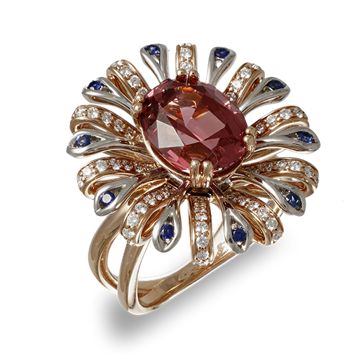 Schmuck-Referenzbild für D-Imaging